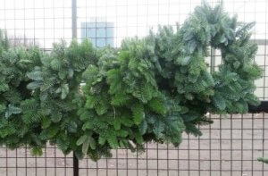Wreaths
