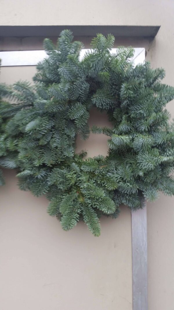 Plain Wreath