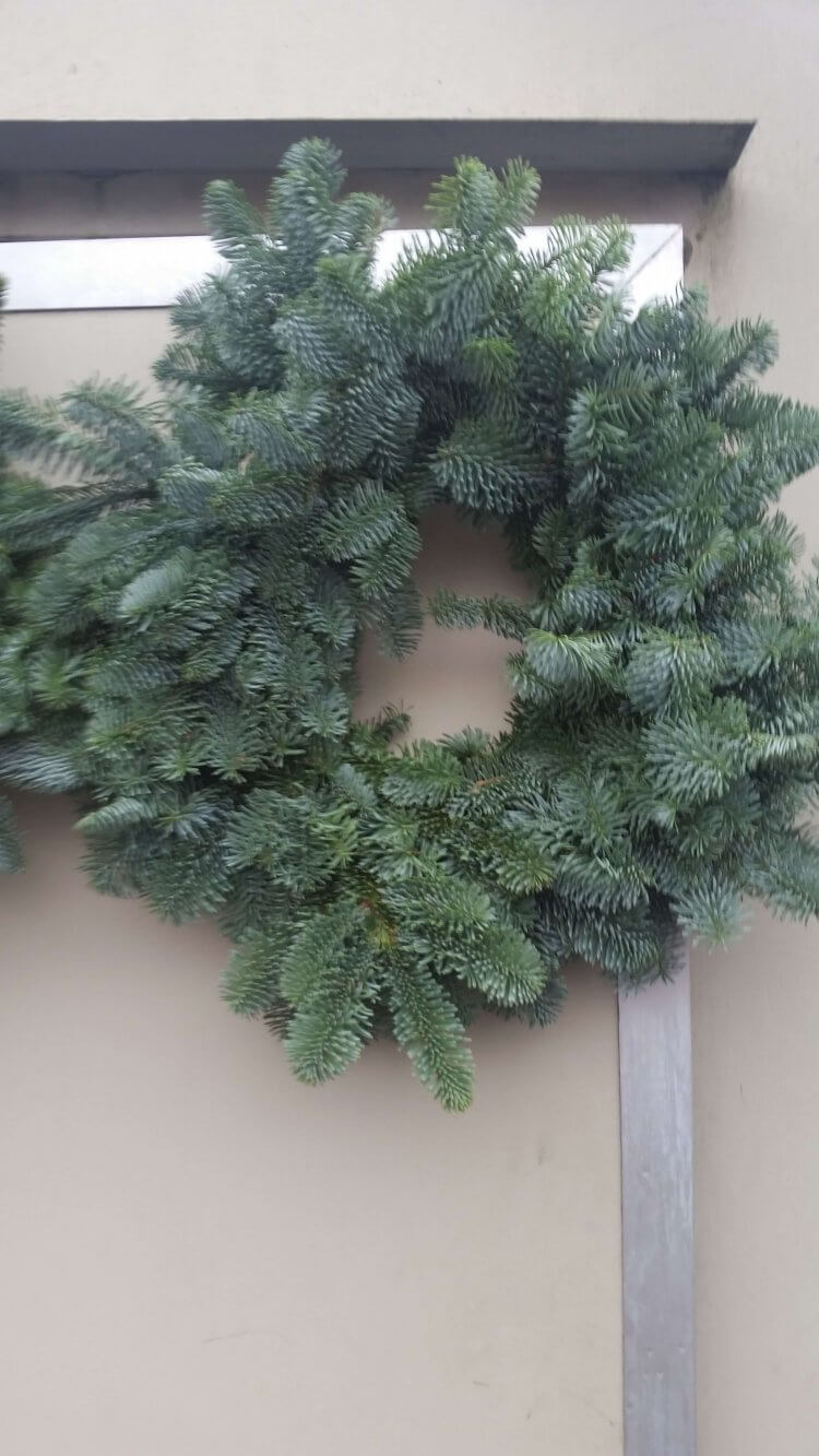 Plain Wreath