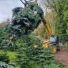 large christmas tree in Ireland