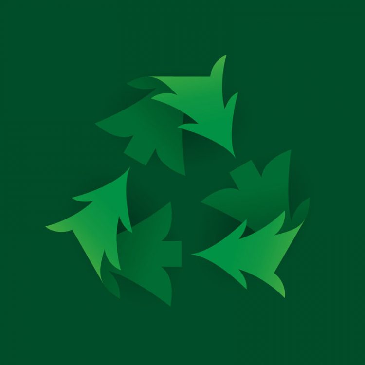 Christmas Tree Collection Disposal Recycle Cork