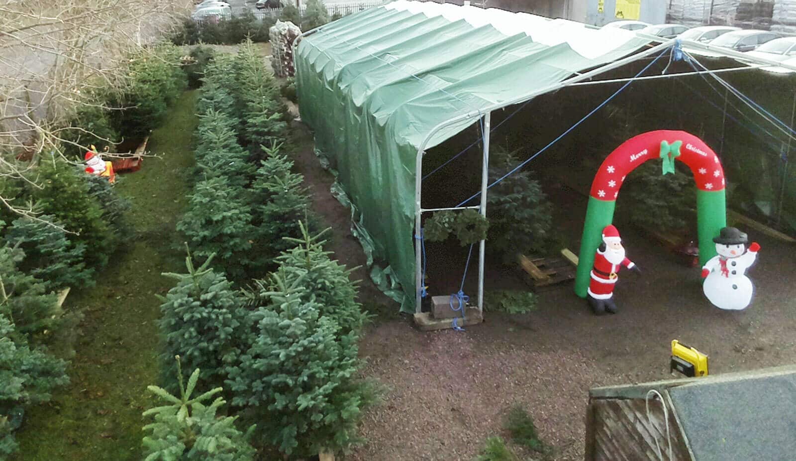 Centre Park Road Tree Shop Christmas Trees For Sale Centre Park Road, Cork