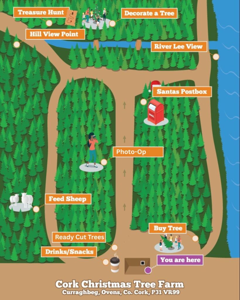 Family Fun: Cork Christmas Tree Farm Opens For The 2024 Holiday Season ...