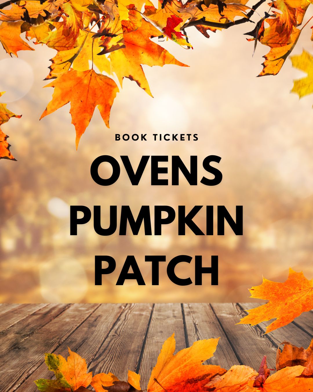 Pumpkin Patch Cork